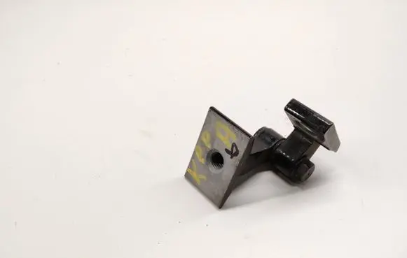 BMW 2 F45 Front door lower hinge 7246067