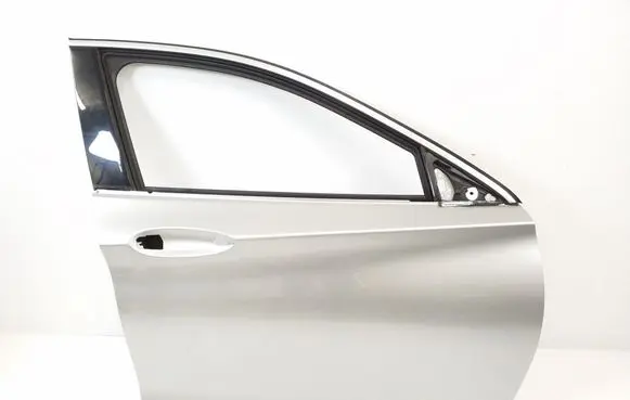 Infiniti Q30 Front door H01005DAMA