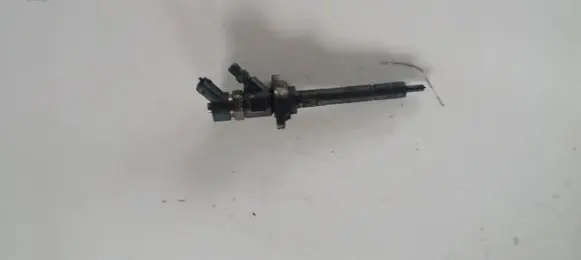 Ford Focus Fuel injector 0445110259