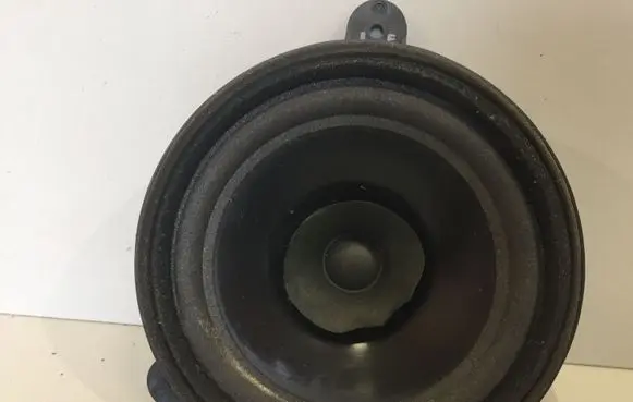 Rear door speaker