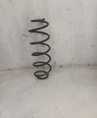 Rear coil spring