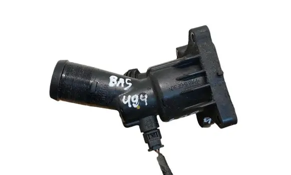 Thermostat/thermostat housing