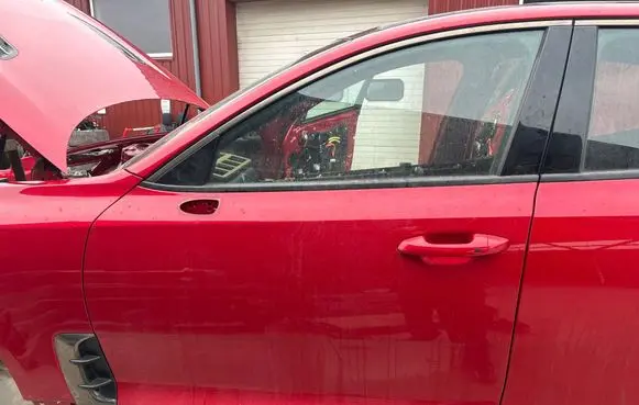 KIA Stinger Front door 
