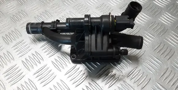 Thermostat/thermostat housing