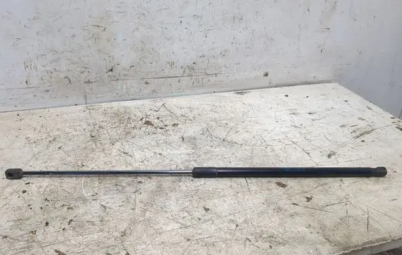 Opel Insignia A Tailgate/trunk strut/damper 315005777 36511A31