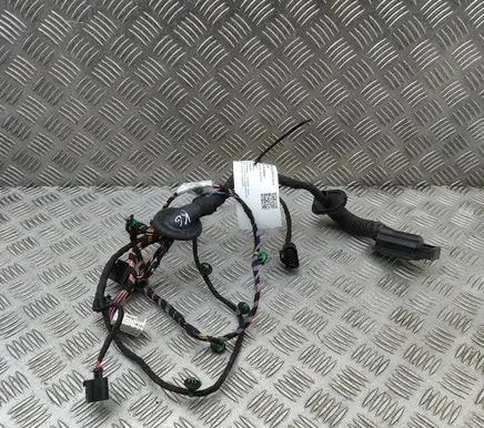 Porsche Taycan 9J1 Rear door wiring loom 9J1971693E