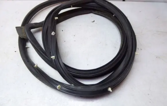 MG ZS Front door rubber seal 10229794