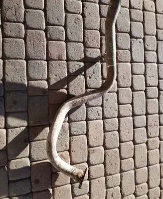 Toyota Land Cruiser (J120) Muffler/silencer 