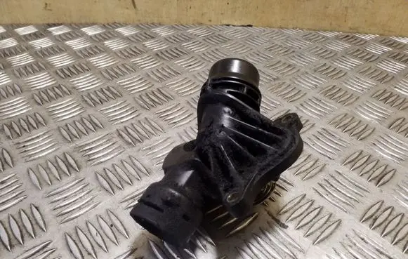 Thermostat/thermostat housing