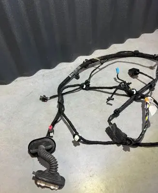 Tesla Model Y Rear door wiring loom 148905400E HB223534H01