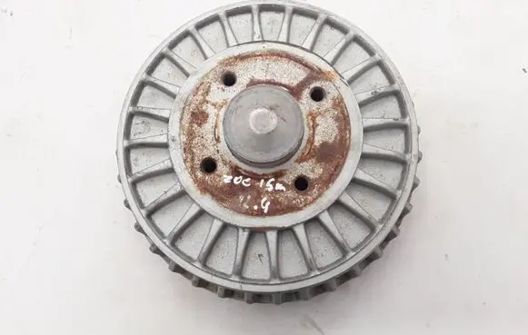 Renault Zoe Rear brake disc 432000505R