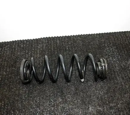 Rear coil spring