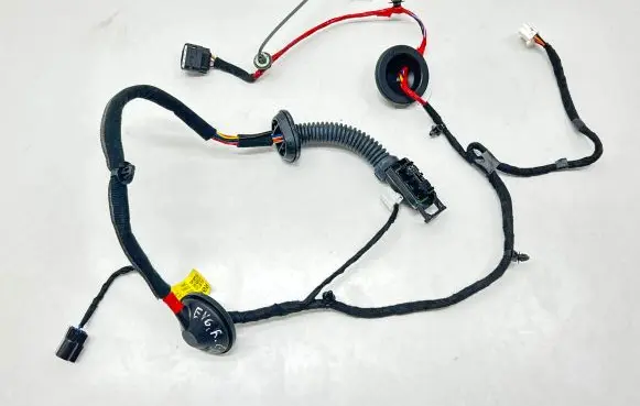 KIA EV6 Rear door wiring loom 91630CV060 919823S000