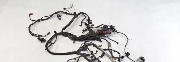 Engine installation wiring loom