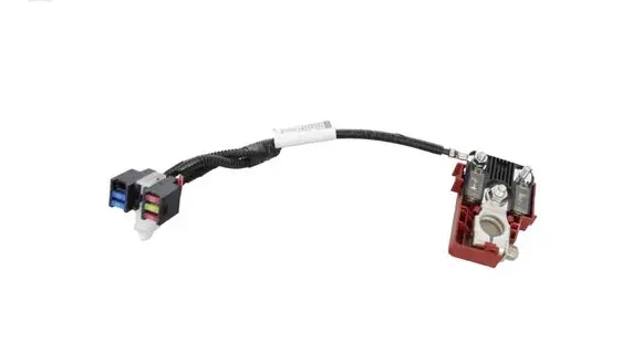 Lexus NX Positive wiring loom 8281778220 71347411