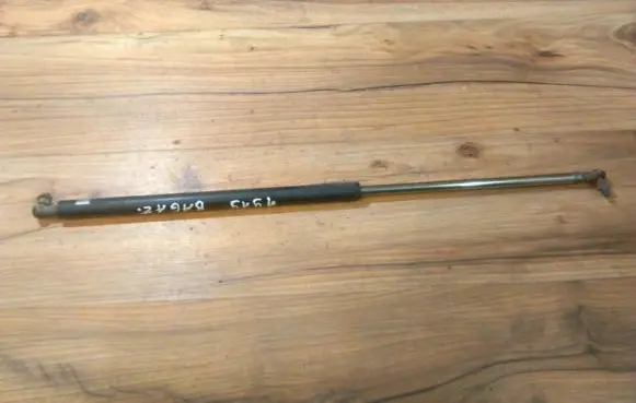 Tailgate/trunk strut/damper