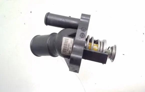 Thermostat/thermostat housing