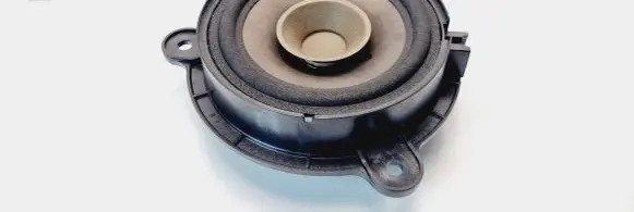Renault Zoe Rear door speaker