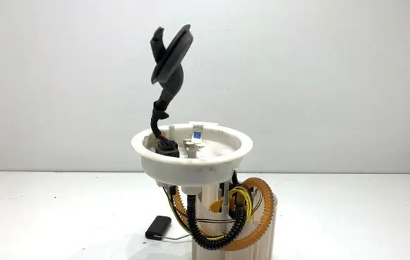 BMW X1 F48 F49 In-tank fuel pump 7300483