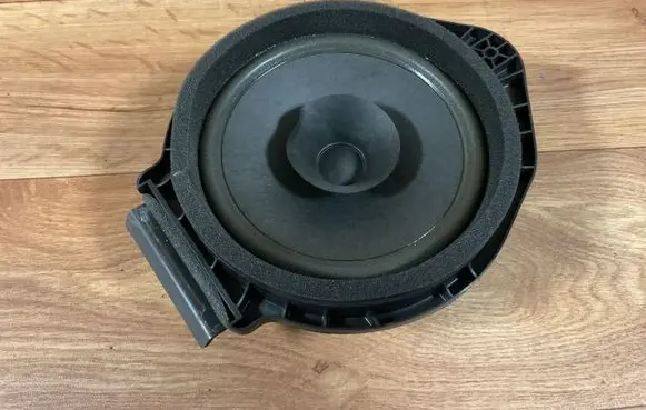 Opel Insignia A Rear door speaker 