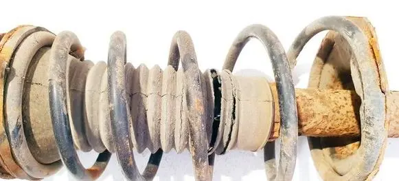 Front coil spring