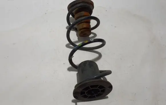 Mercedes-Benz Citan II Rear coil spring A4203240100