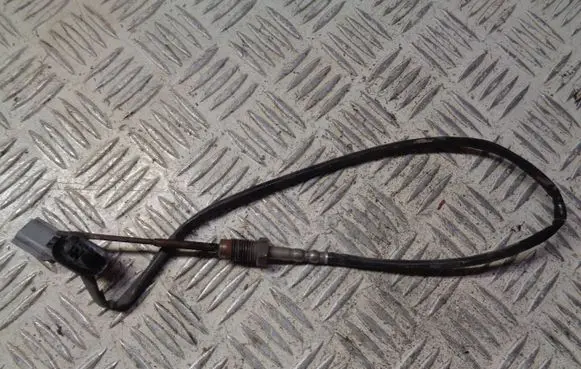 Nissan Pulsar Exhaust gas temperature sensor 226401632R 06R100881