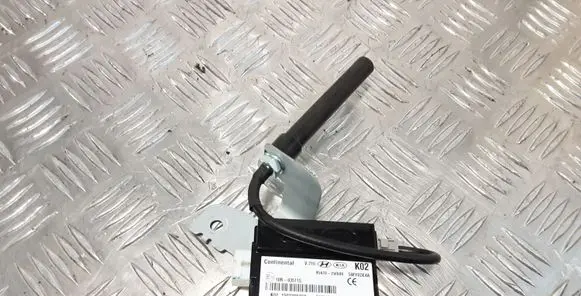 Hyundai Santa Fe Other control units/modules 954702W600