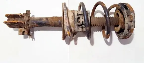 Renault Megane I Front coil spring