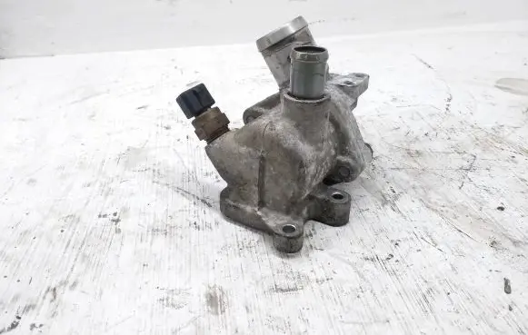 Thermostat/thermostat housing