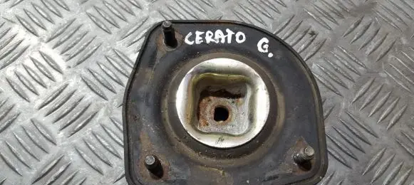 Coil spring mount