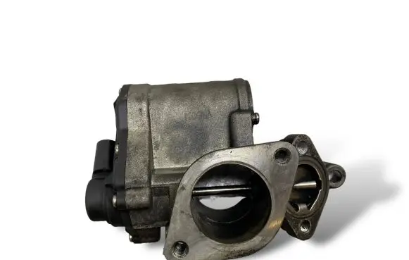 EGR valve