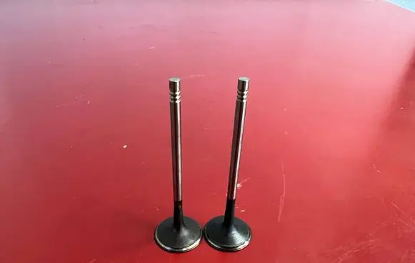 BMW X3 G01 Valve 5A36AF9 8621264 11345A36AF9