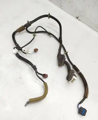 Rear door wiring loom