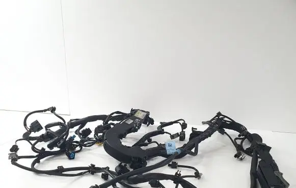 Engine installation wiring loom