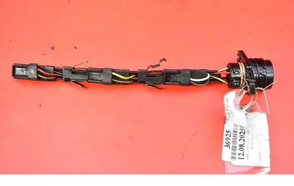 Other wiring loom