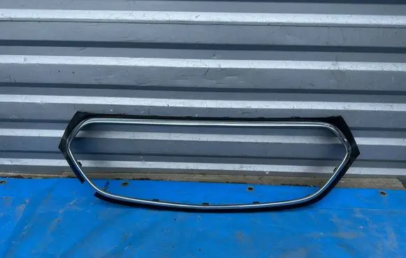 Mercedes-Benz E W214 Front grill A2148881000