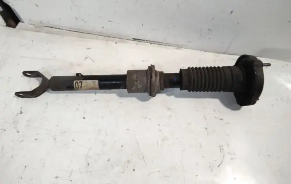 Mercedes-Benz CLS C219 Front shock absorber/damper A2193200713