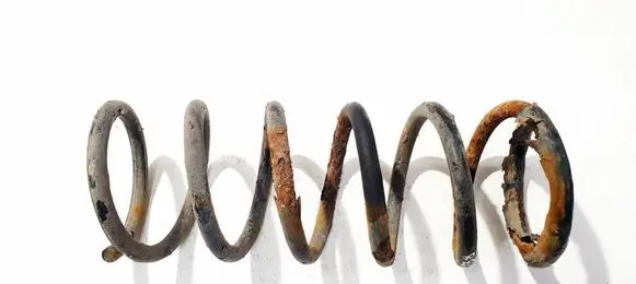 Ford Mondeo MK IV Rear coil spring 