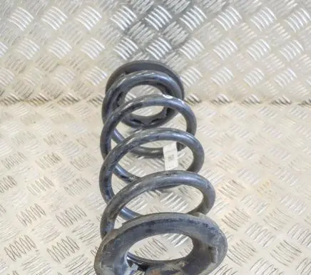 Tesla Model 3 Rear coil spring 104447291E
