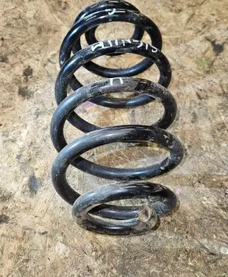 Rear coil spring