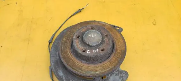 Renault Trafic II (X83) Rear wheel hub 8200050016