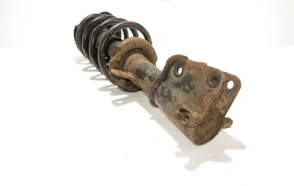 Renault Trafic II (X83) Front shock absorber/damper