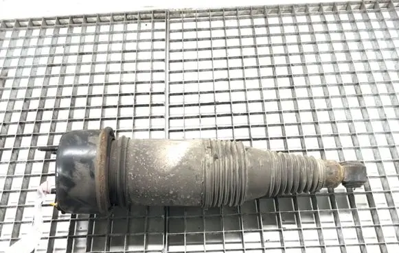 Jaguar XJ X351 Rear shock absorber/damper