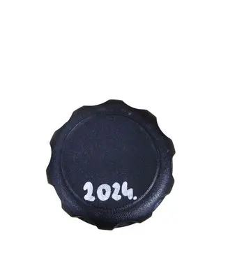 Ford Focus Seat adjustment knob 1157884