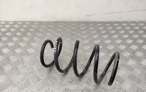 Front coil spring