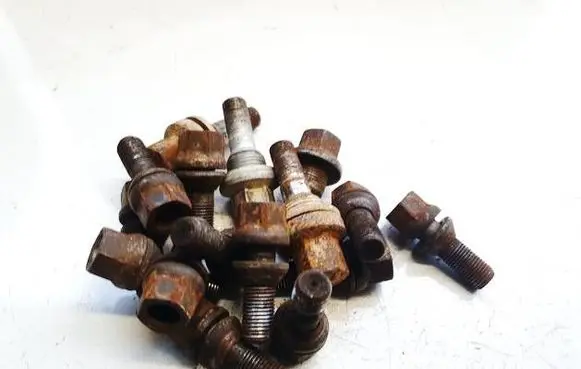 Citroen Xsara Picasso Nuts/bolts 