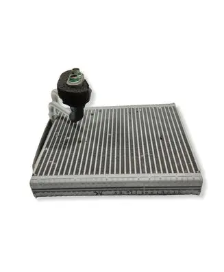 KIA Sportage Air conditioning (A/C) radiator (interior) 