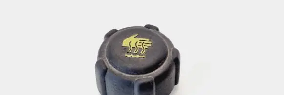Renault Zoe Coolant expansion tank/reservoir cap 