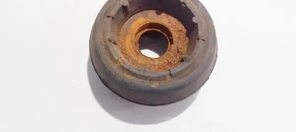 Coil spring mount